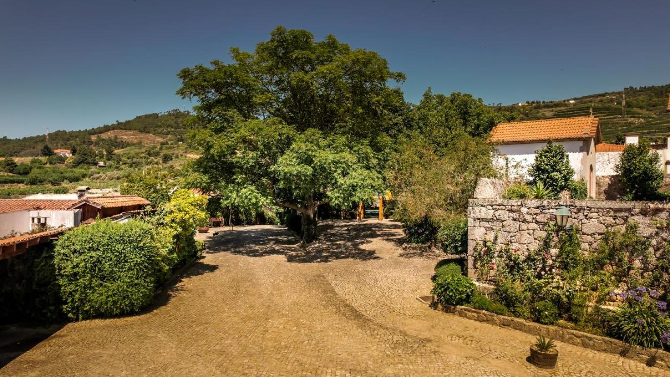 Hotel Quinta Do Terreiro - Turismo De Habitacao Lamego Zewnętrze zdjęcie
